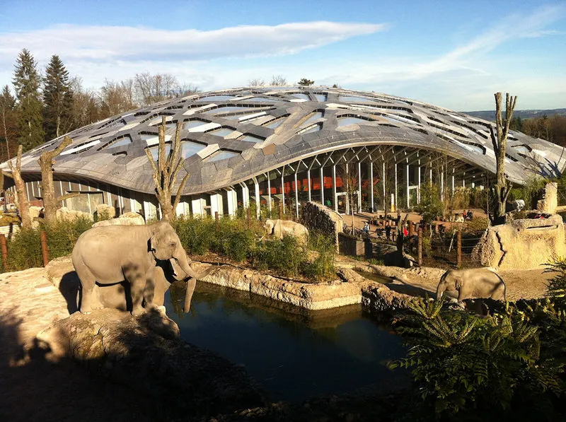 Zoo Zürich Lewa Savanne